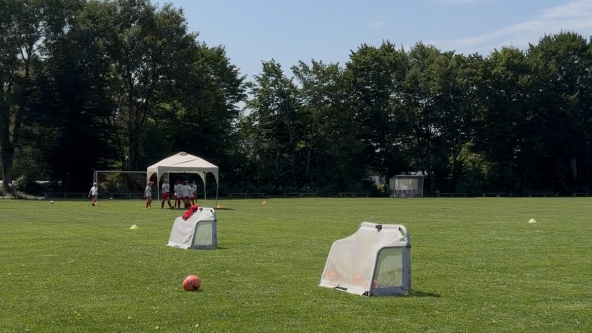 Die neue Kinderfußball-Reform verständlich erklärt